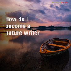 How Do I Become a Nature Writer?