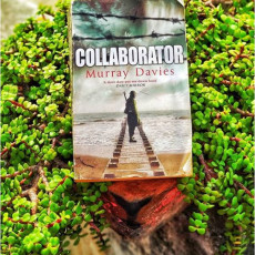 Book Review – Collaborator