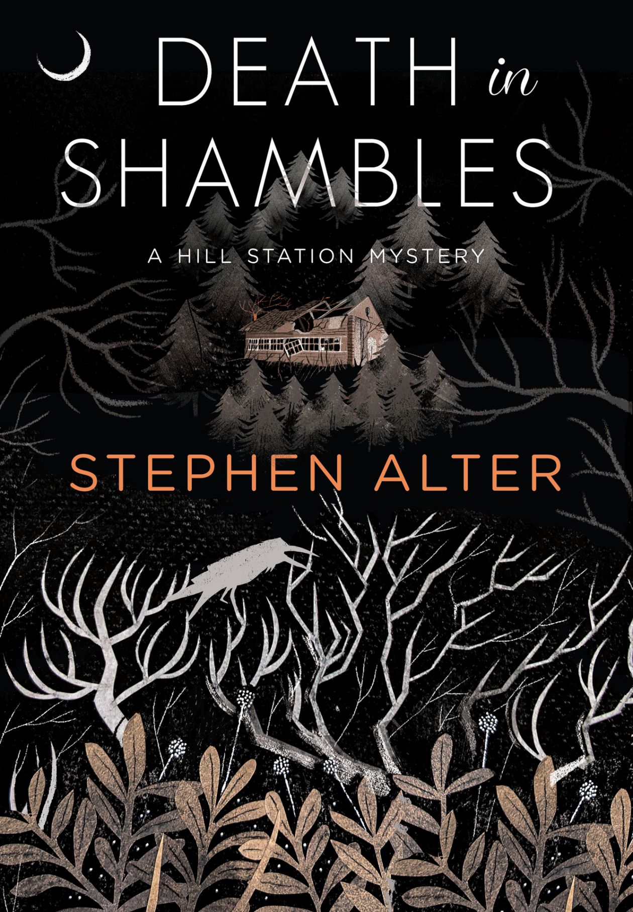 Death in Shambles : a hill station mystery